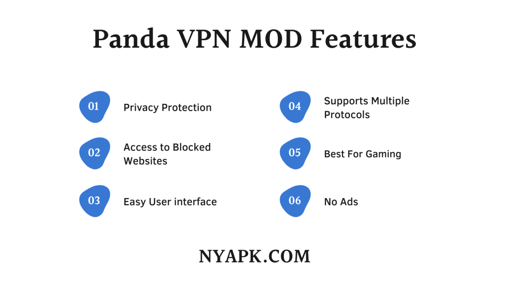 Panda VPN MOD Features