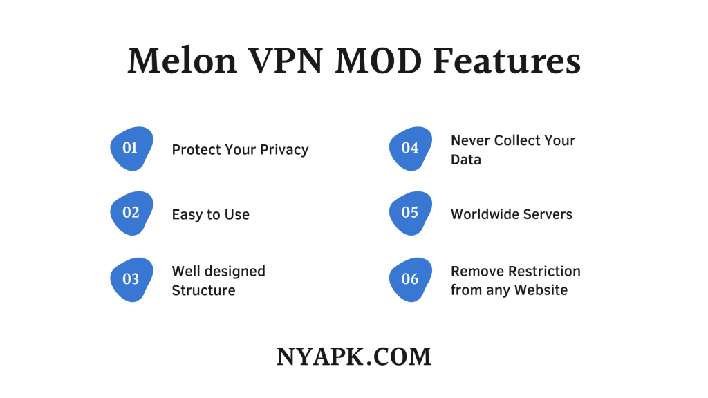 Melon VPN MOD Features