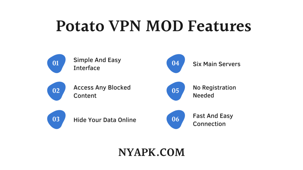 Potato VPN MOD Features