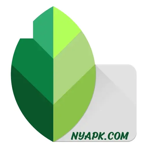 Snapseed MOD APK v2.19.1.303051424 Premium Unlocked