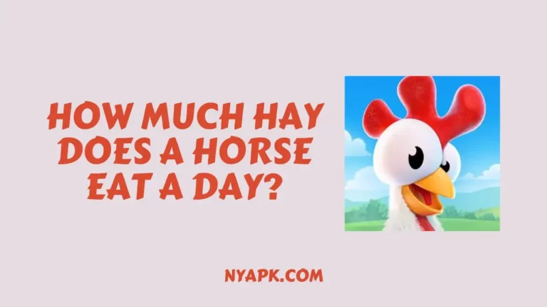 How Much Hay Does a Horse Eat a Day? (Full Information)